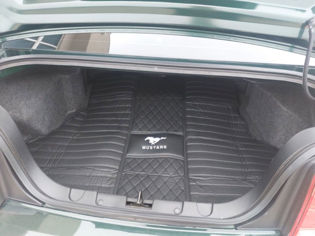 2008 Ford Mustang GT Deluxe