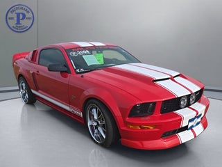 2008 Ford Mustang GT Deluxe