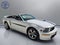 2008 Ford Mustang GT Deluxe