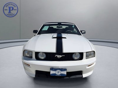 2008 Ford Mustang GT Deluxe