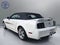 2008 Ford Mustang GT Deluxe